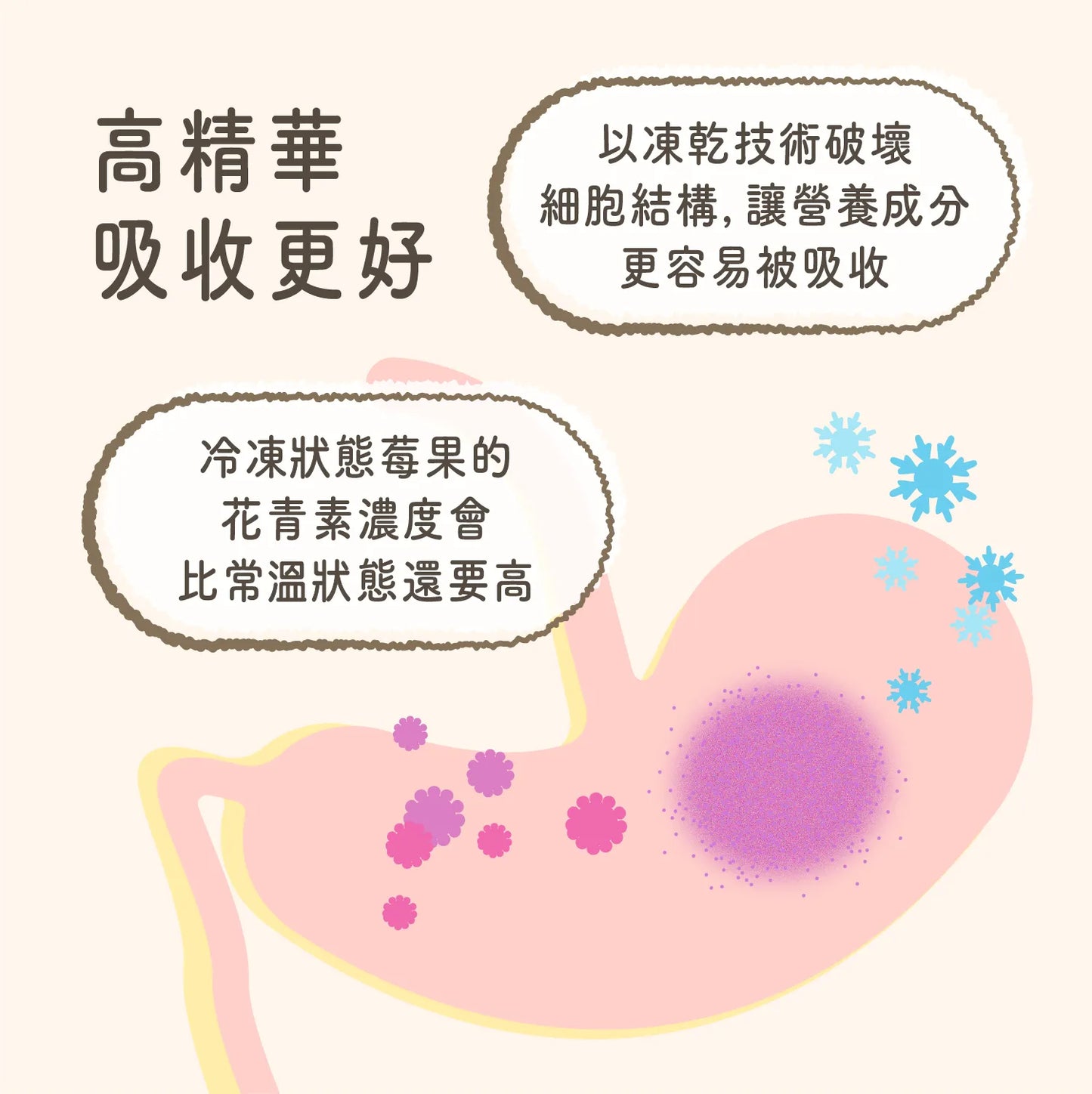 台灣 Bubblenpea 蔓越莓保健粉 Cranberry 30g