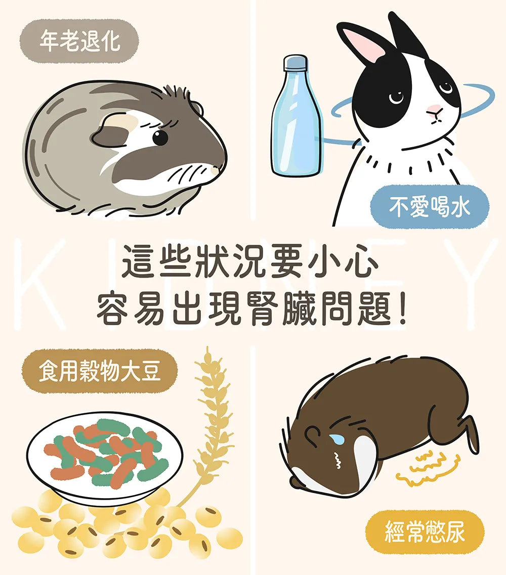 腎臟泌尿保健輔食配方草粉