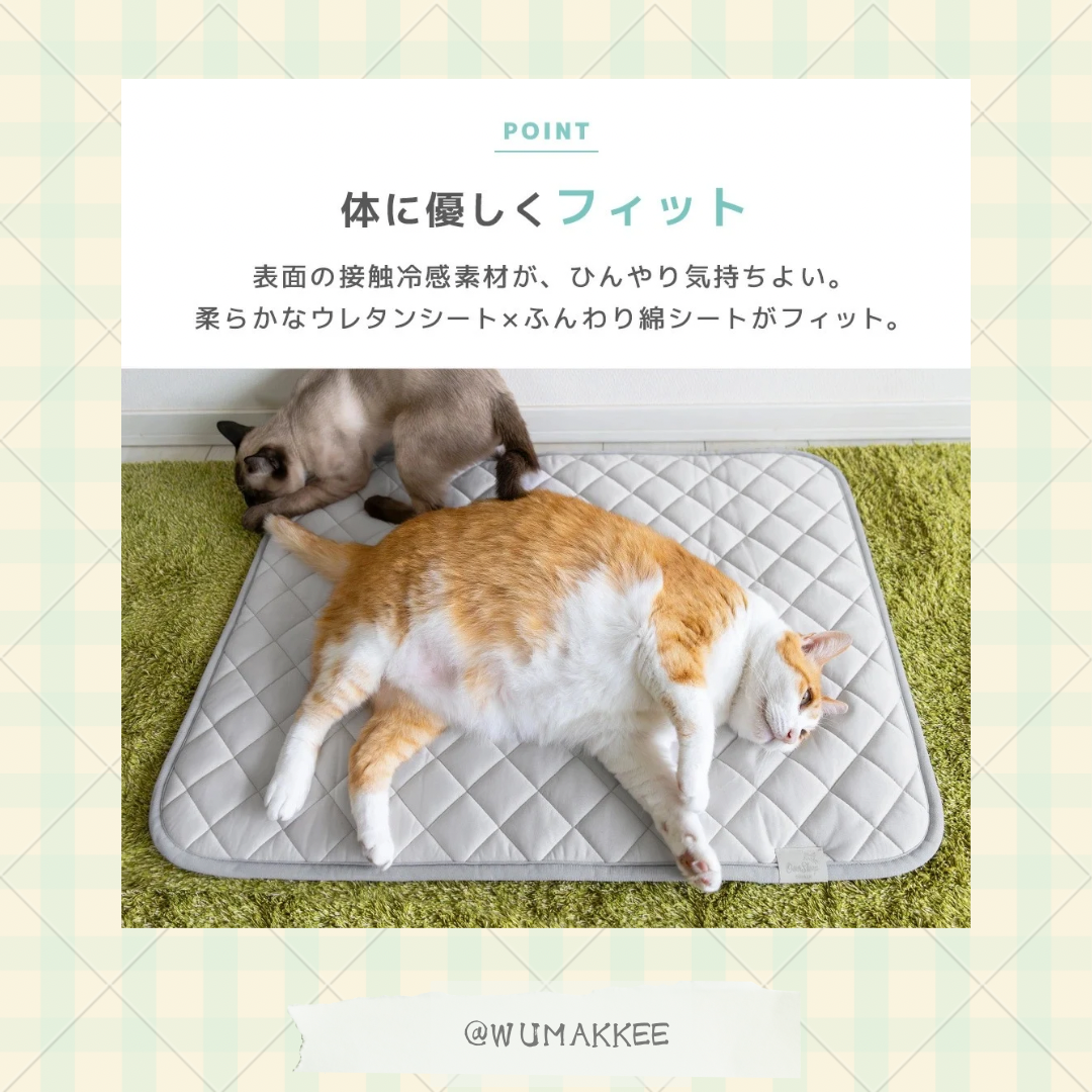 🆕🇯🇵日本 IDOG & ICAT 2025SS Collection - Cool Stay Mat (Wide Size) 加寬版接触冷感墊