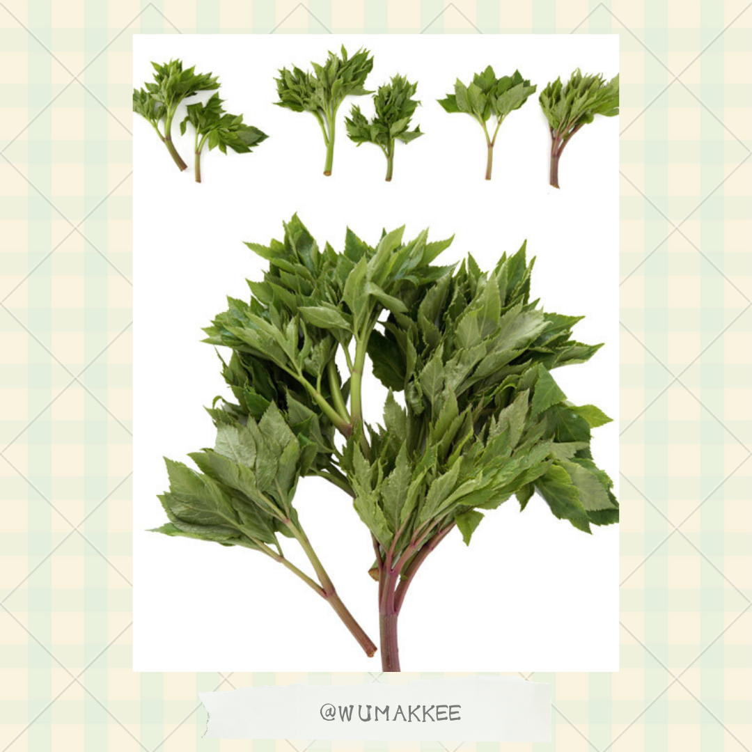 日本產 Leaf Corp Usayama 明日葉の莖乾片 30g