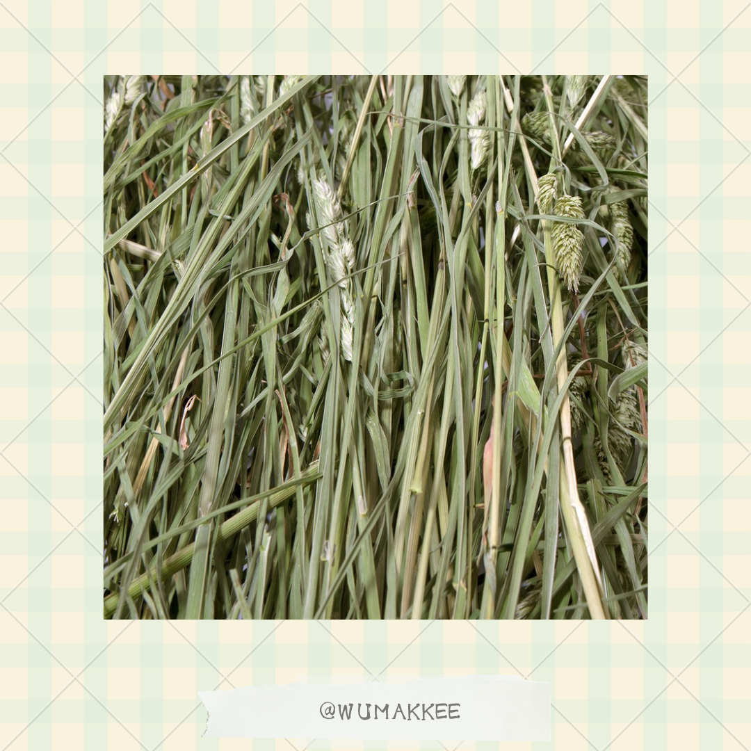 日本產 Leaf Corp 長野縣青割果樹草 Orchard Grass Hay 100g / 300g