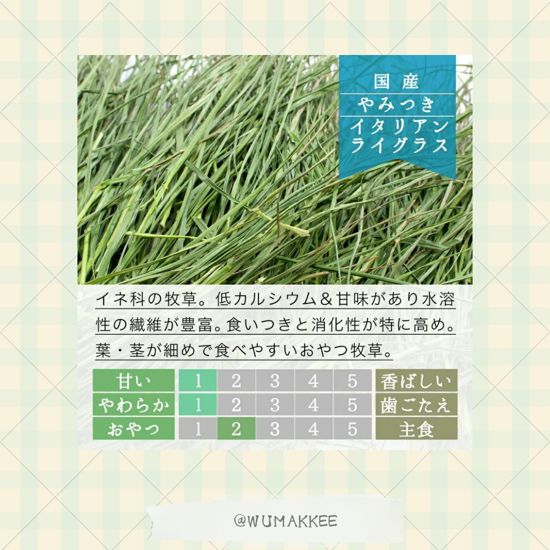 令和7年 日本產 Leaf Corp Italian Ryegrass 意大利黑麥草
