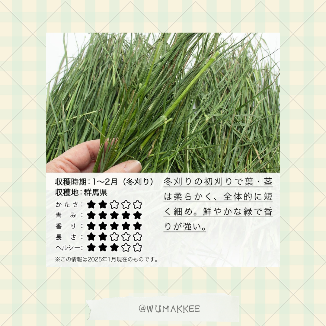 令和7年 日本產 Leaf Corp Italian Ryegrass 意大利黑麥草