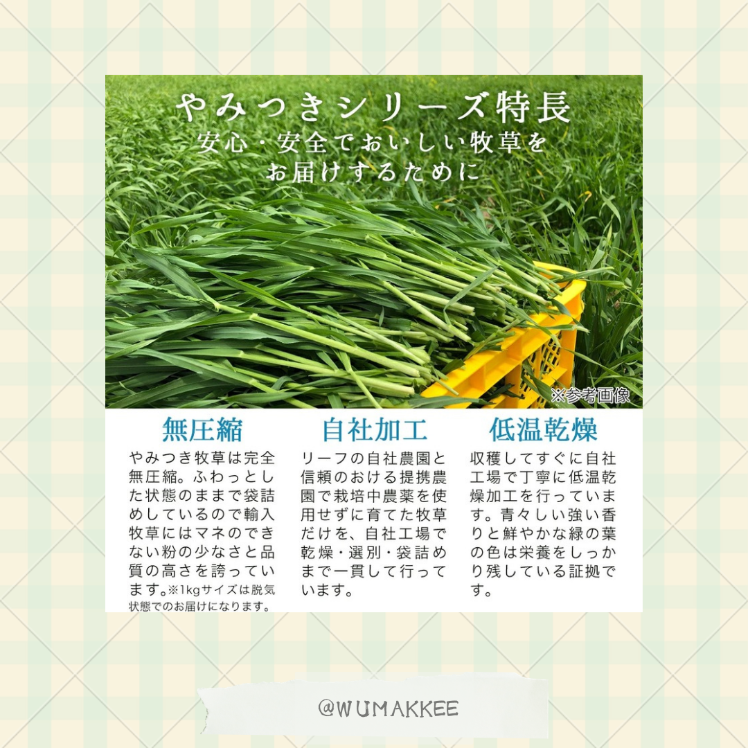 令和7年 日本產 Leaf Corp Italian Ryegrass 意大利黑麥草