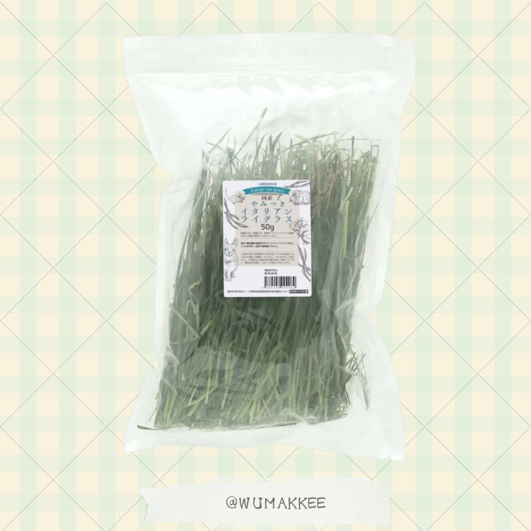 令和7年 日本產 Leaf Corp Italian Ryegrass 意大利黑麥草 50g