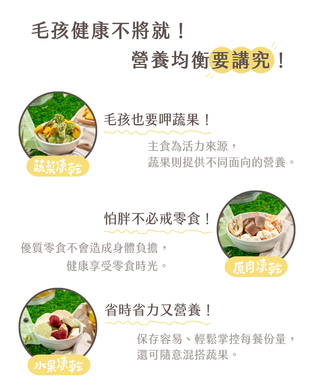 🆕台灣Coffee Lion 咖啡獅凍乾蔬菜系列 - 綜合蔬菜 15g