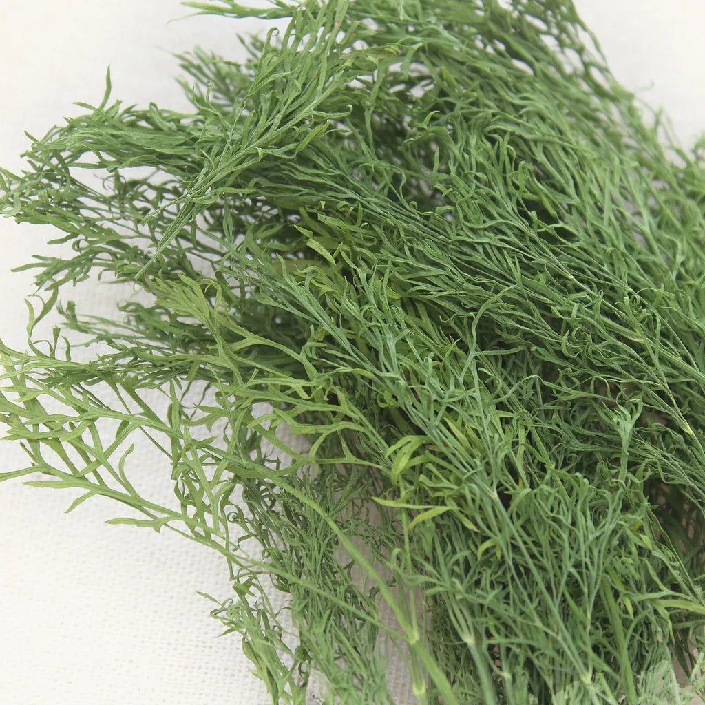 (請DM預訂)台灣 Bubblenpea 半熟小農原味系列-半熟茴香 5g