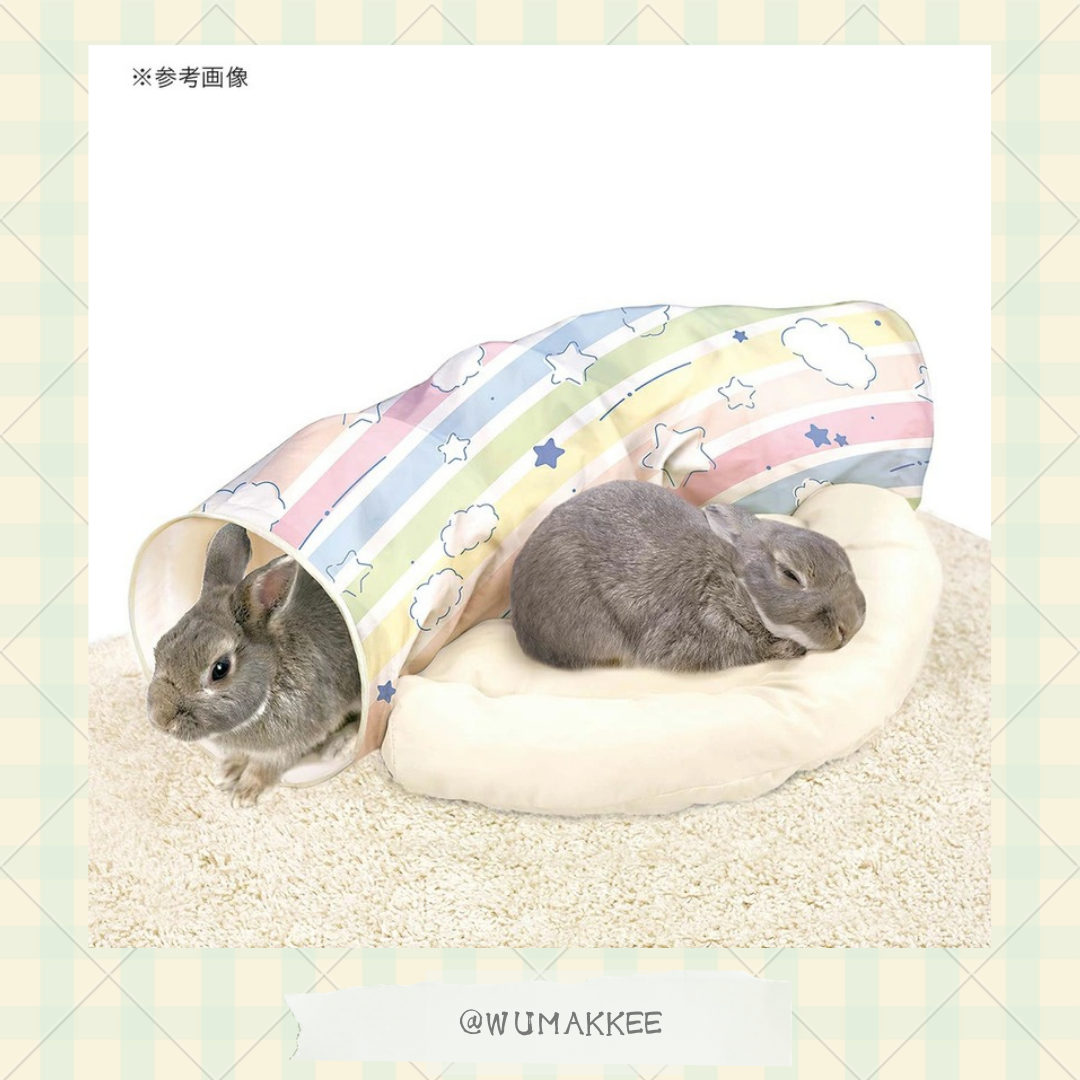 🆕日本 Mini Animan 可拆式彩虹隧道連床