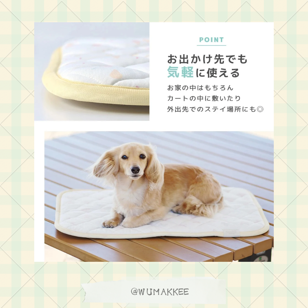 🆕🇯🇵日本 IDOG & ICAT 2025SS Collection - Cool Stay Mat 接触冷感墊