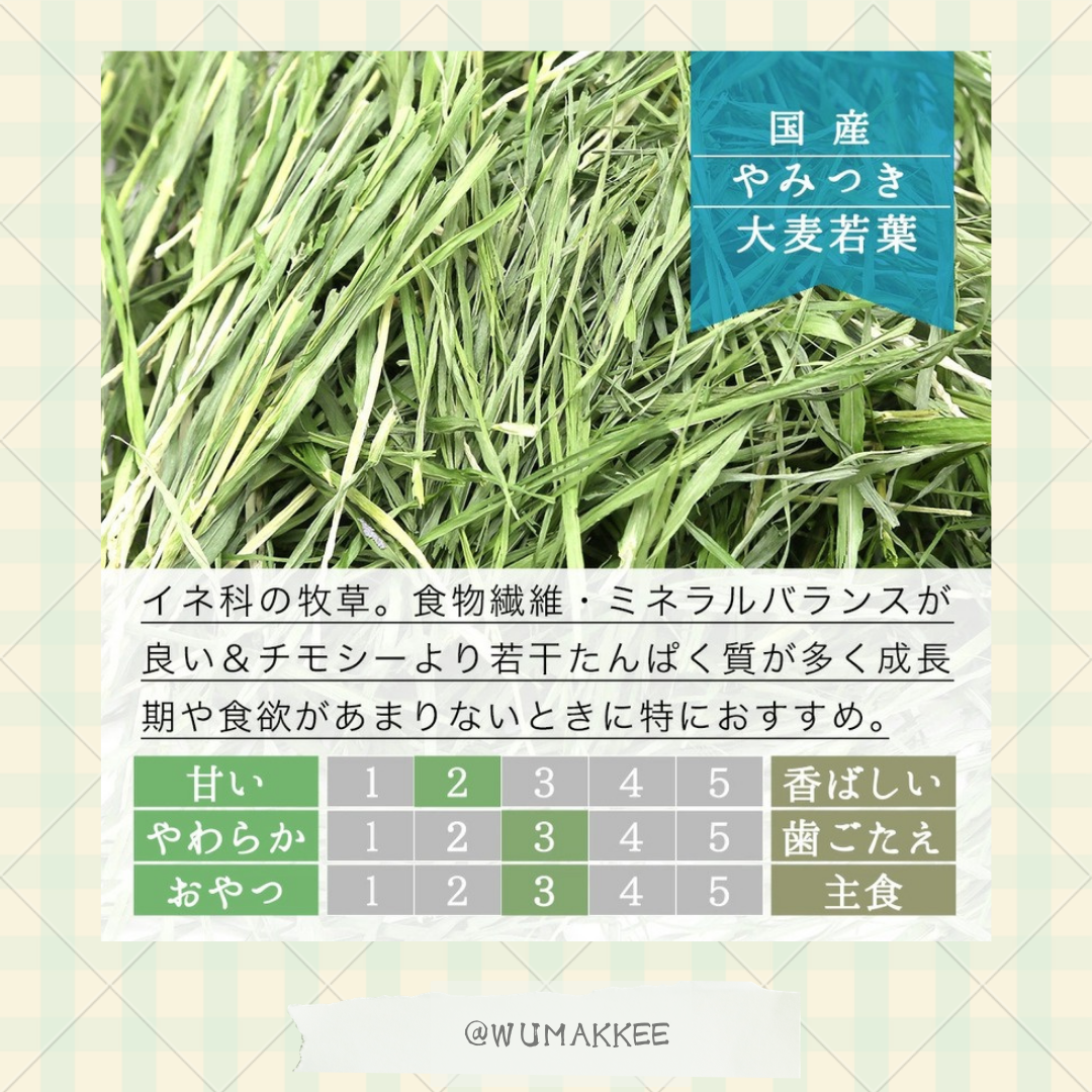 🆕日本產 Leaf Corp Barley Grass 大麥嫩葉 50g / 100g