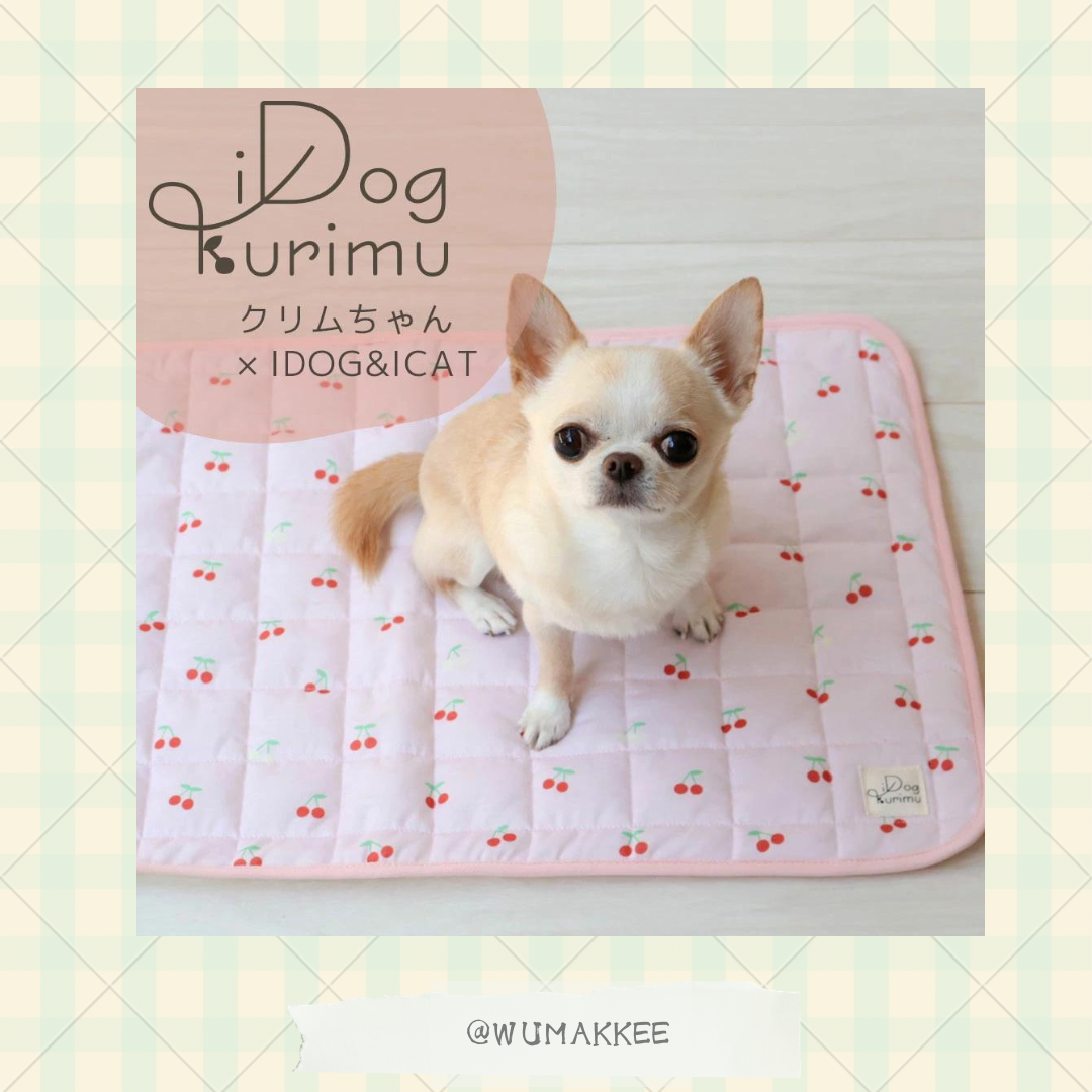 🇯🇵日本 IDOG X Kurimu 2024SS 櫻桃圖案柔軟棉質防滑墊