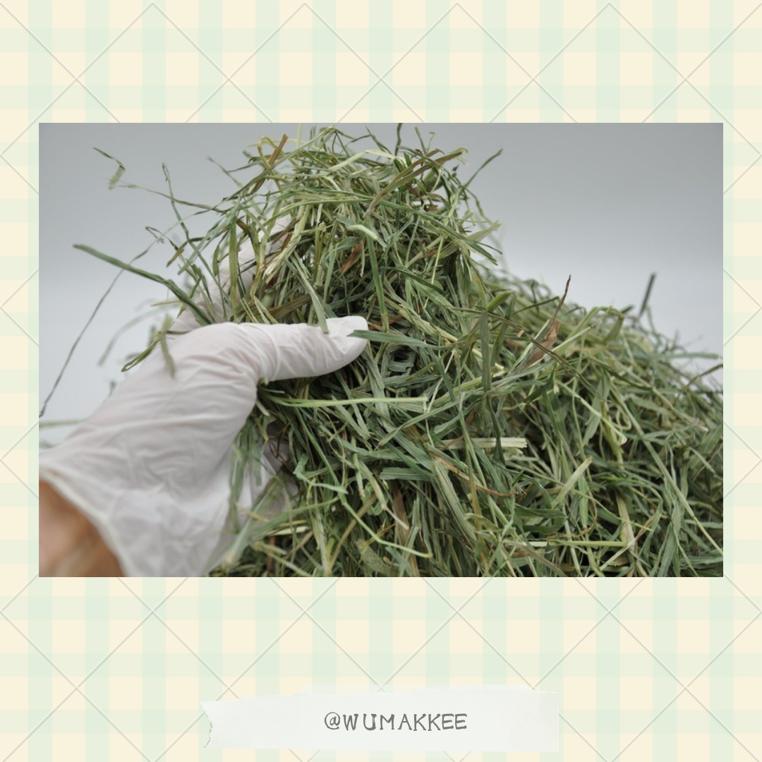日本 Bunny Garden Ellens-burg 3rd Cut (超軟單壓) 提摩西草 550g