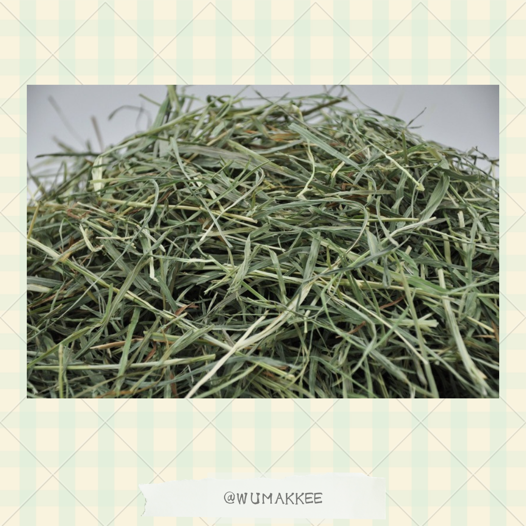 日本 Bunny Garden Ellens-burg 3rd Cut (超軟單壓) 提摩西草 550g