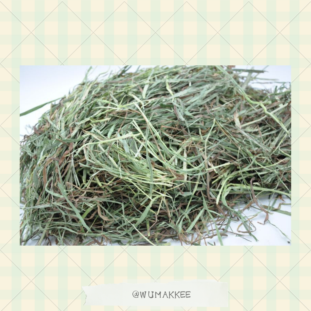 日本 Bunny Garden Royal Canadian 2nd Cut Timothy 提摩西草 550g