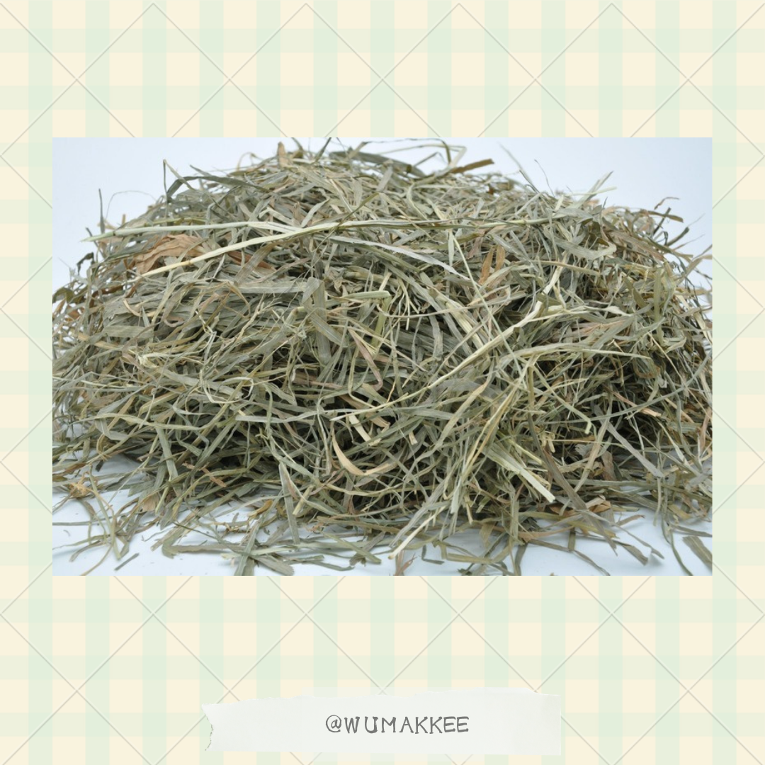 日本 Bunny Garden Washington "Yawaraka" 2nd Cut Timothy 提摩西草 550g