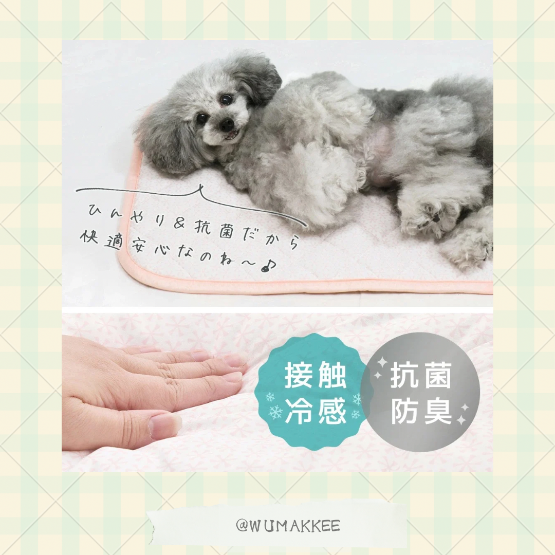 🆕🇯🇵日本 IDOG & ICAT 2025SS Collection - Cool Stay Mat 接触冷感墊