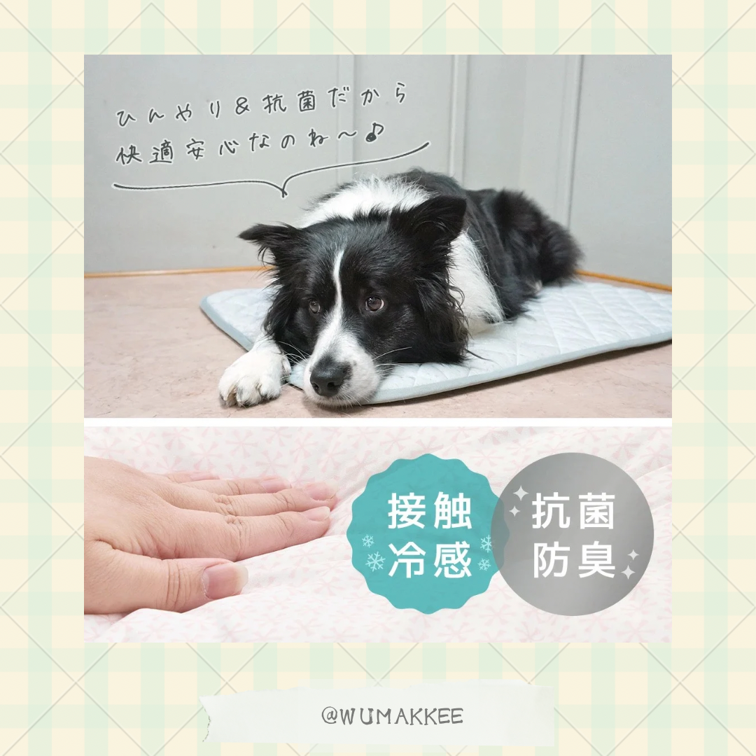🆕🇯🇵日本 IDOG & ICAT 2025SS Collection - Cool Stay Mat (Wide Size) 加寬版接触冷感墊