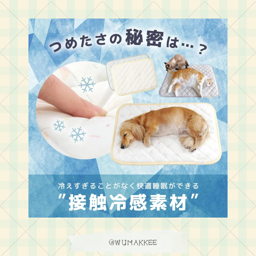 🆕🇯🇵日本 IDOG & ICAT 2025SS Collection - Cool Stay Mat 接触冷感墊