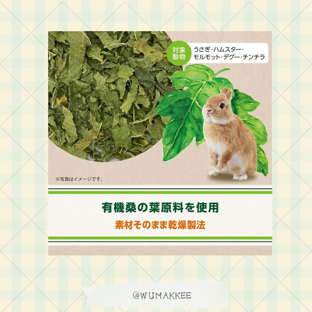 日本產 GEX 健康食譜系列 - 有機桑葉 10g