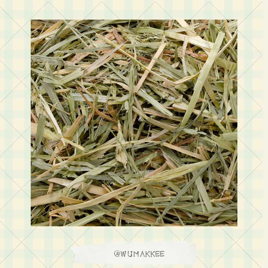 日本 Hipet Pasture Wheat Hay 乾小麥草 400g