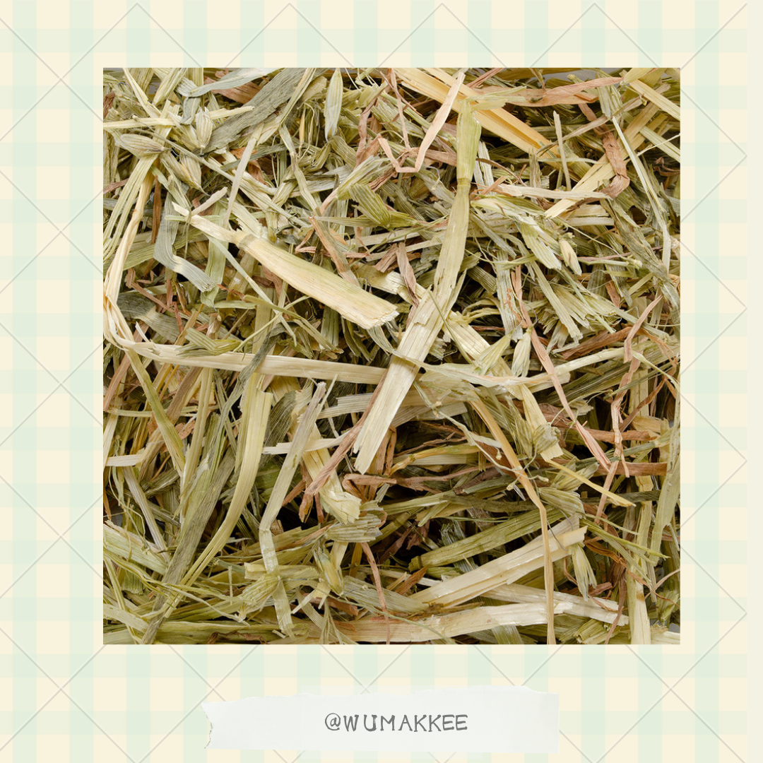 日本 Hipet Pasture Oat Hay 乾燕麥草 400g