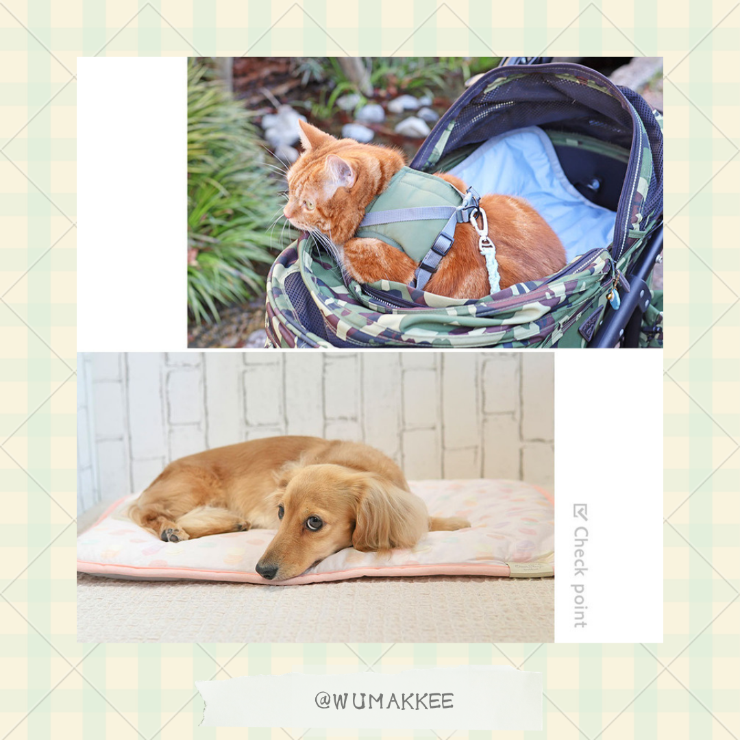日本 IDOG & ICAT Cool Stay Mat 接触冷感墊