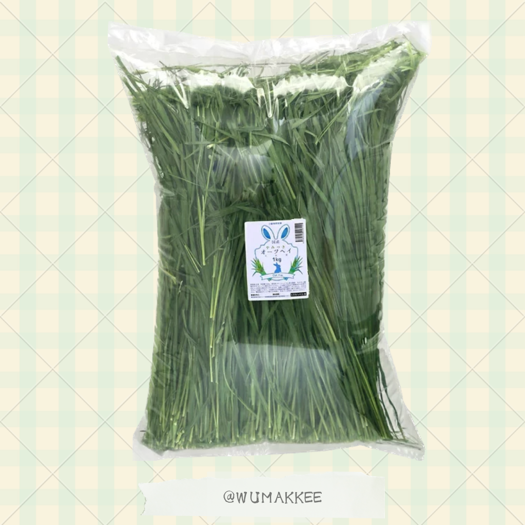 日本產 Leaf Corp Oat Hay 高纖燕麥草 1KG