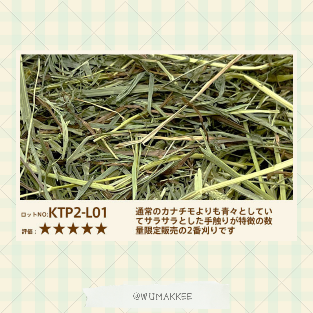 日本 KANACHIMO Premium 2nd cut Timothy 提摩西草 800g