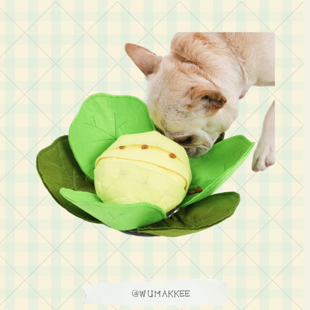 日本L'ange 探犬Toy 尋食玩具 - 高麗菜