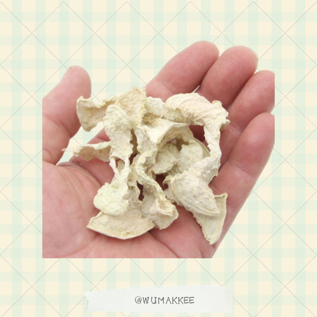 日本產 Leaf Corp Usayama 木瓜樹幹(內部脆片) 100g