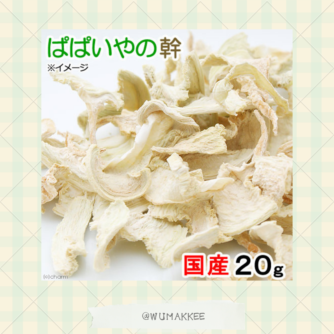 日本產 Leaf Corp Usayama 木瓜樹幹(內部脆片) 20g / 100g