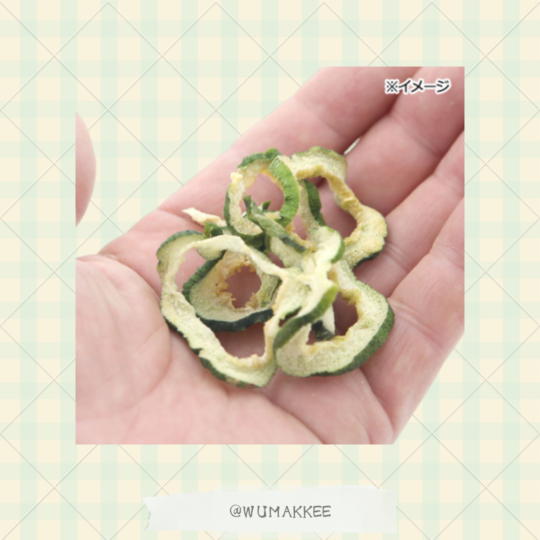 日本產 Leaf Corp Usayama 青木瓜脆片 30g