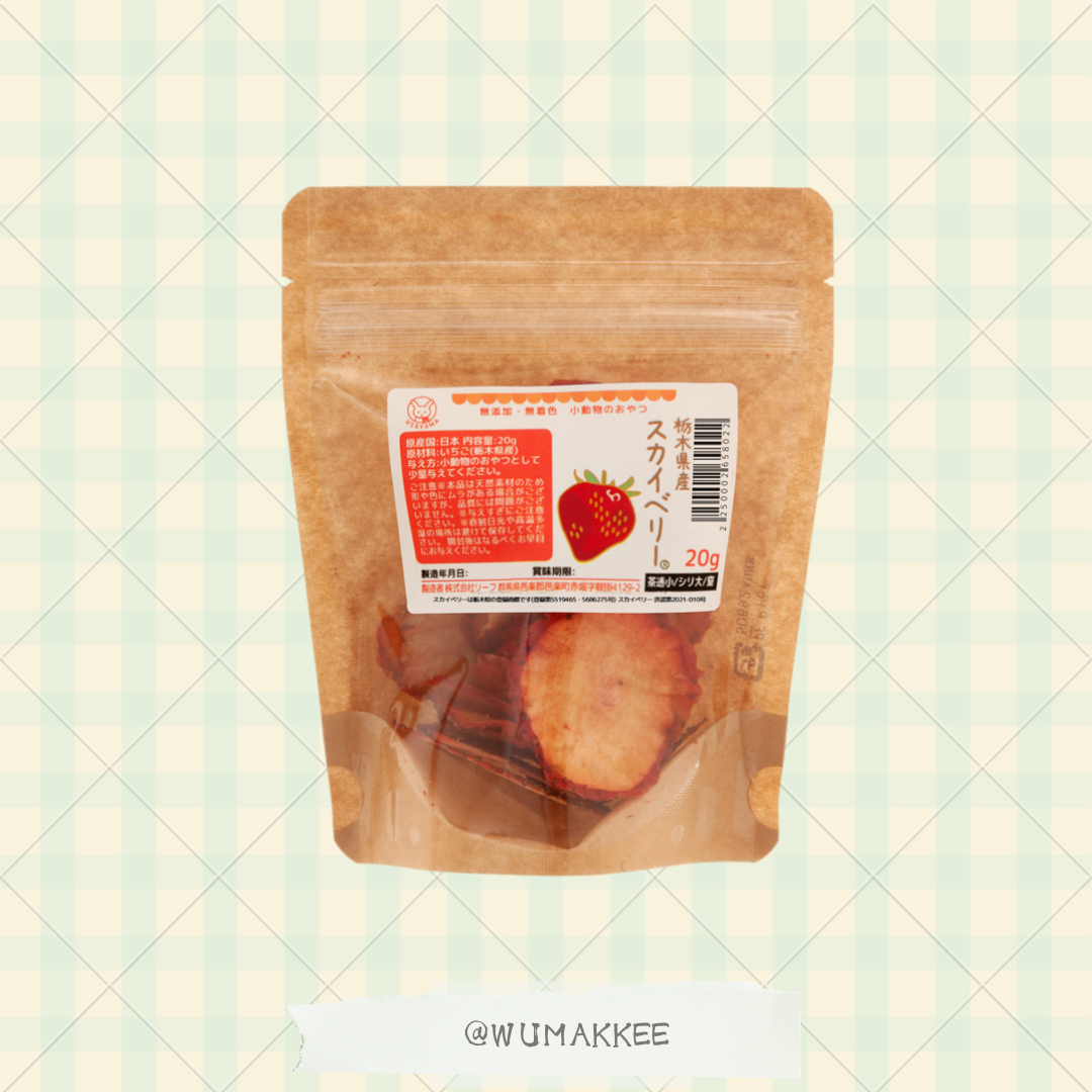 日本產 Leaf Corp Usayama 栃木縣產 Skyberry 草莓乾 20g