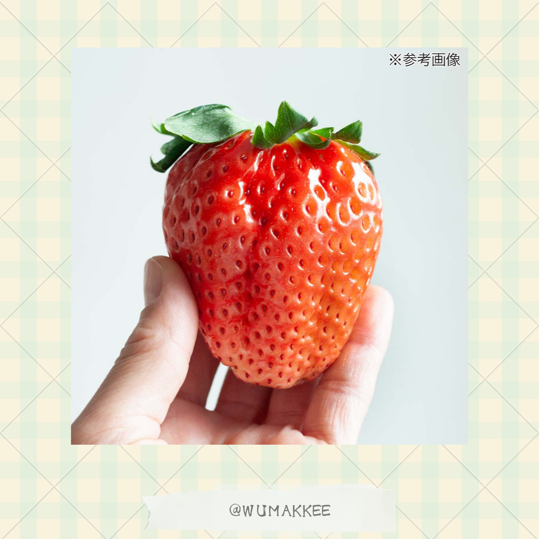 日本產 Leaf Corp Usayama 栃木縣產 Skyberry 草莓乾 20g