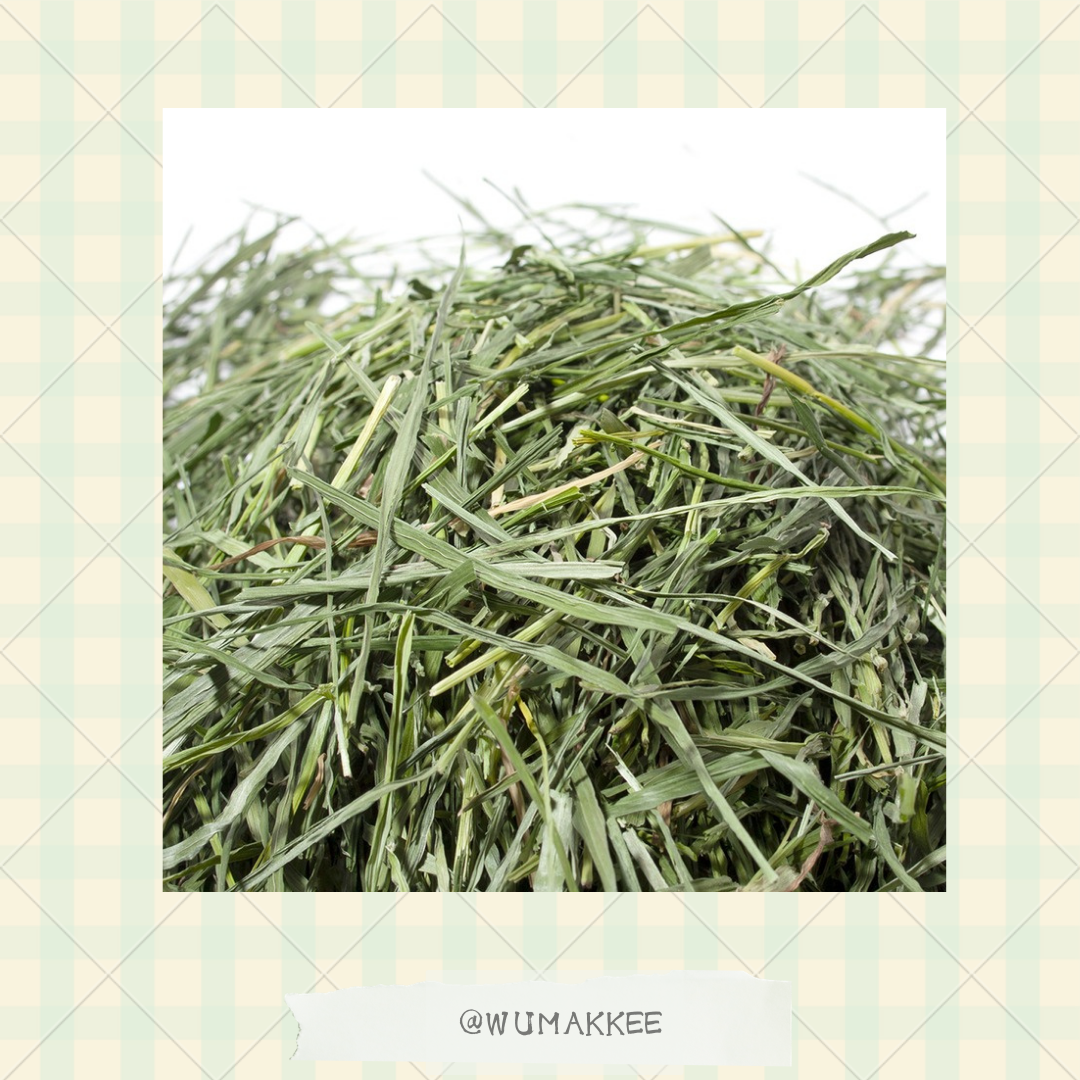 日本產 Leaf Corp 時令軟身燕麥草mix意大利黑麥草 200g