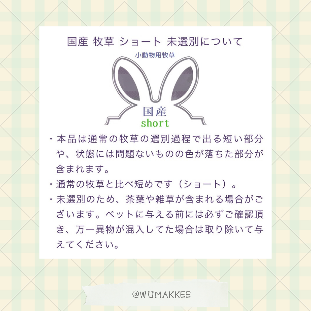 日本產 Leaf Corp 提摩西草mix意大利黑麥草 (短身) 200g