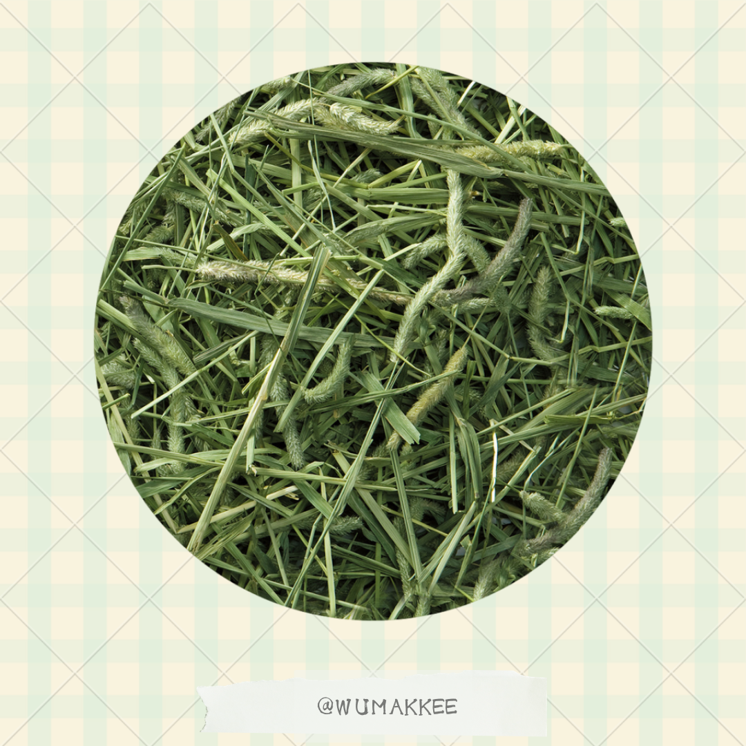 日本 Marukan Bunny Grade Timothy 提摩西草 1kg