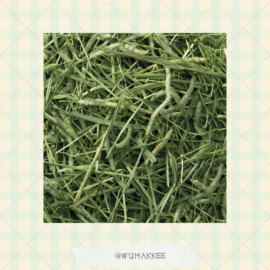 日本 Marukan Bunny Grade 低卡高纖 1st Cut 提摩西草 550g