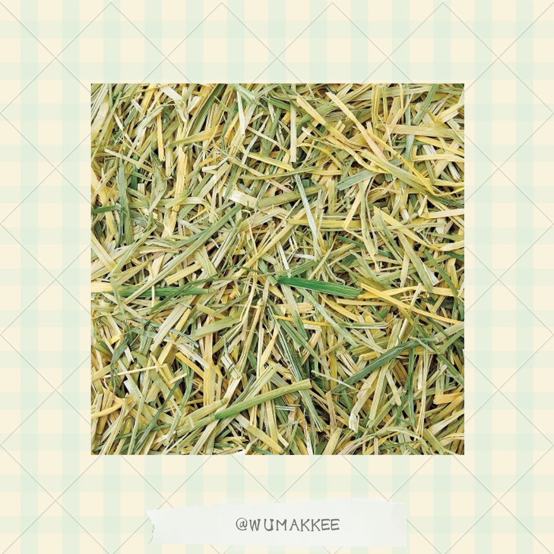 日本 Marukan Bunny Grade 乾燕麥草 500g
