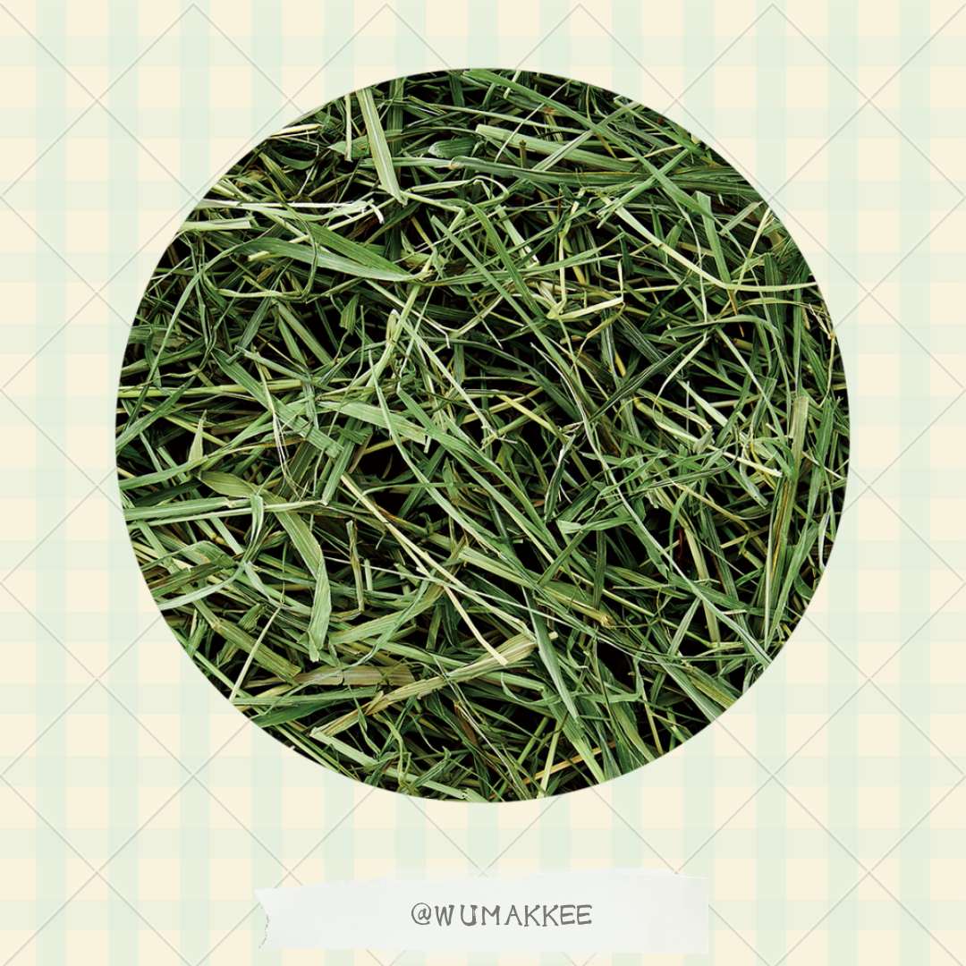 🆕日本 Marukan Bunny Grade 多葉軟身(Soft-type)提摩西草 900g