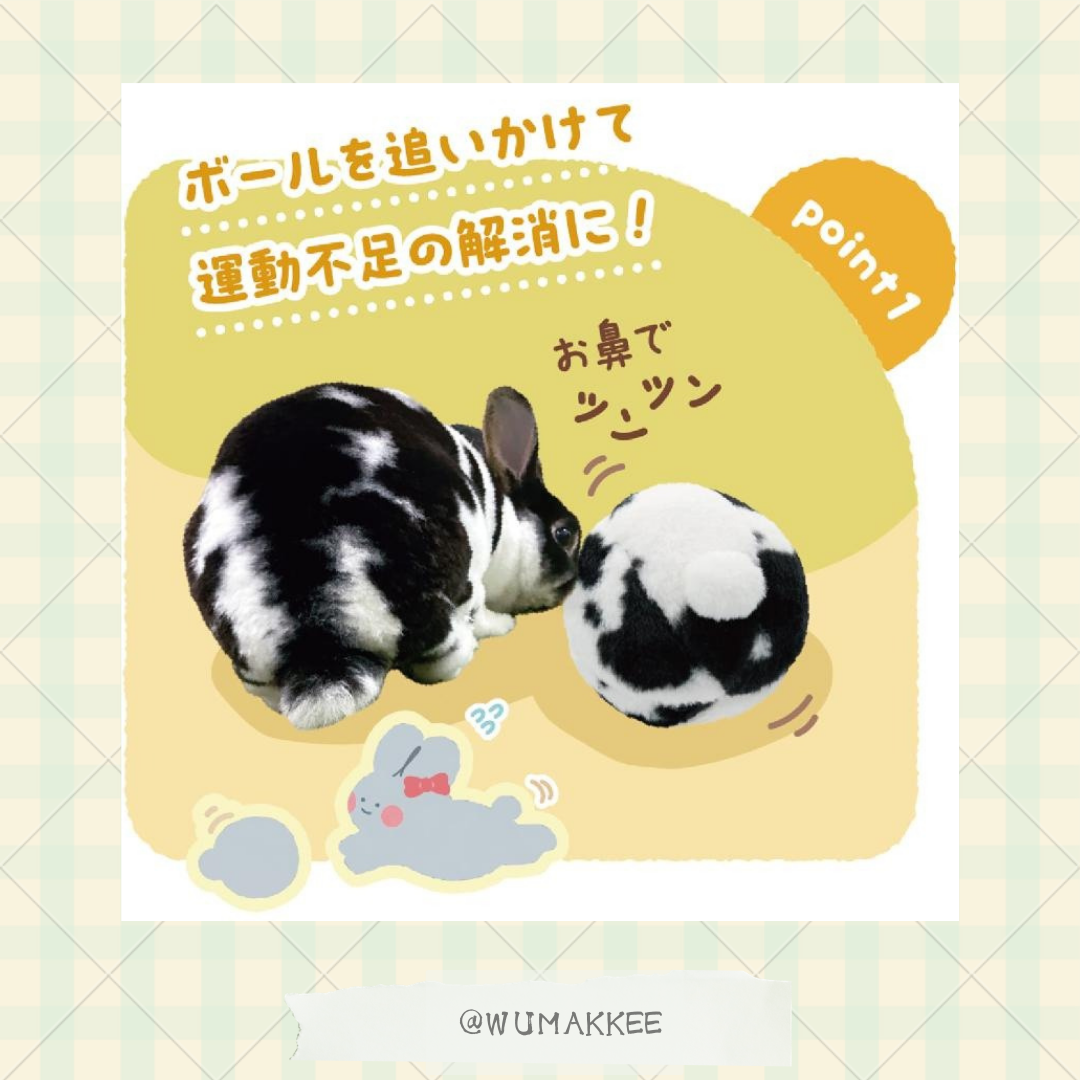 日本 Mini Animan 熊貓垂耳醬兔子大波波