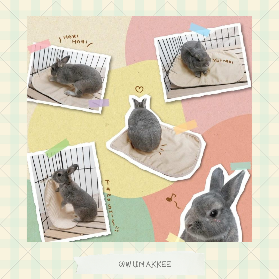 日本 Mini Animan 兔兔の全天然雙面多功能挖掘墊