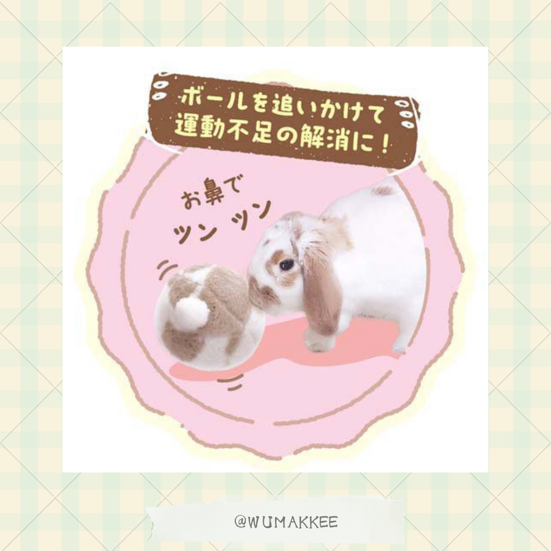 日本 Mini Animan 可愛垂耳醬兔子大波波