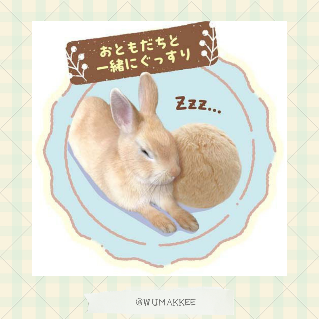 日本 Mini Animan 可愛立耳醬兔子波波