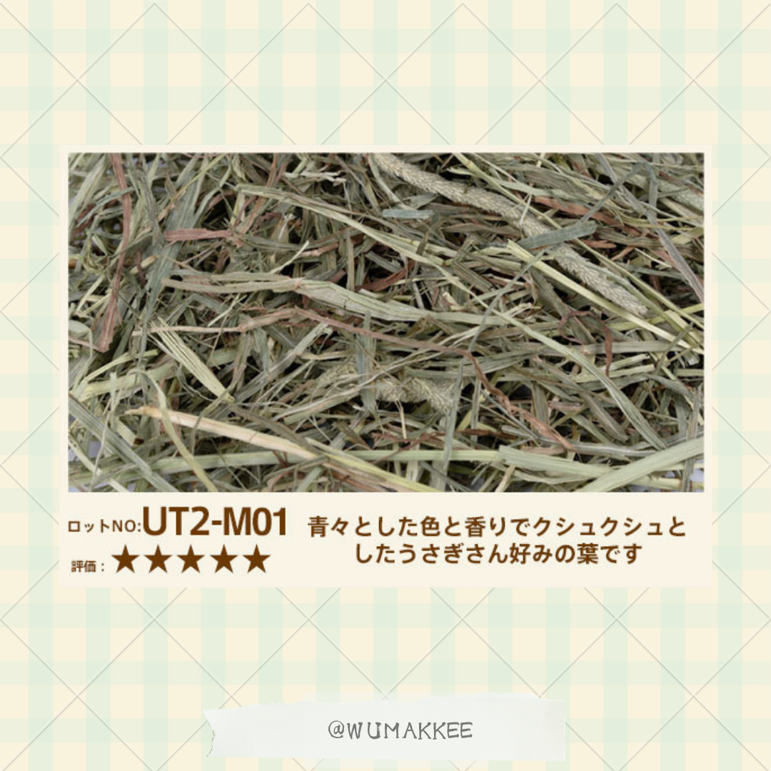 粉塵去除✨日本 USACHIMO 2nd cut Timothy 提摩西草 700g