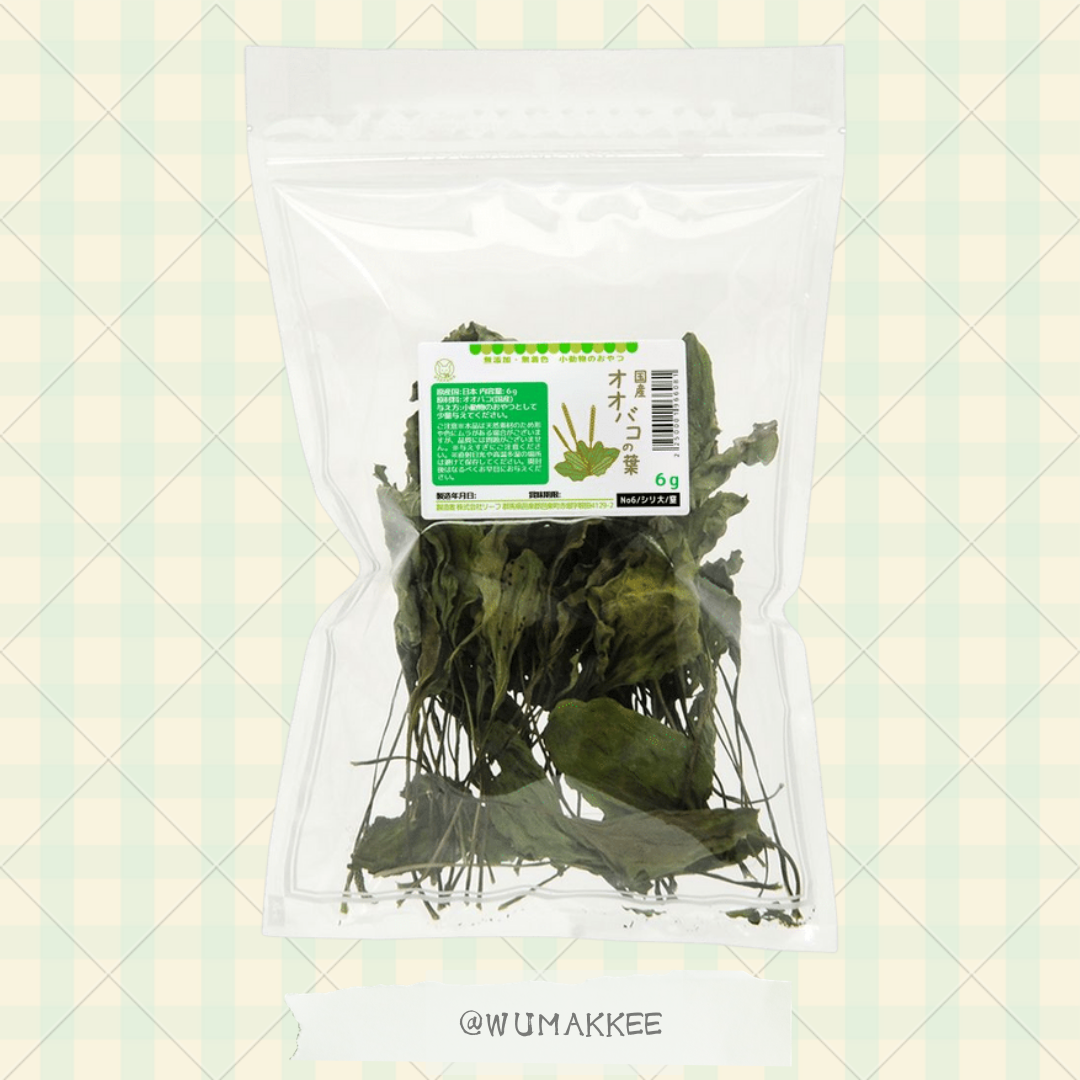 國產 USAYAMA 車前草葉 6g