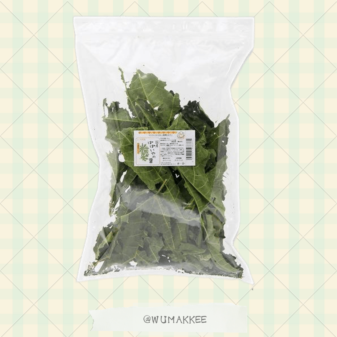 國產 USAYAMA 木瓜葉 30g