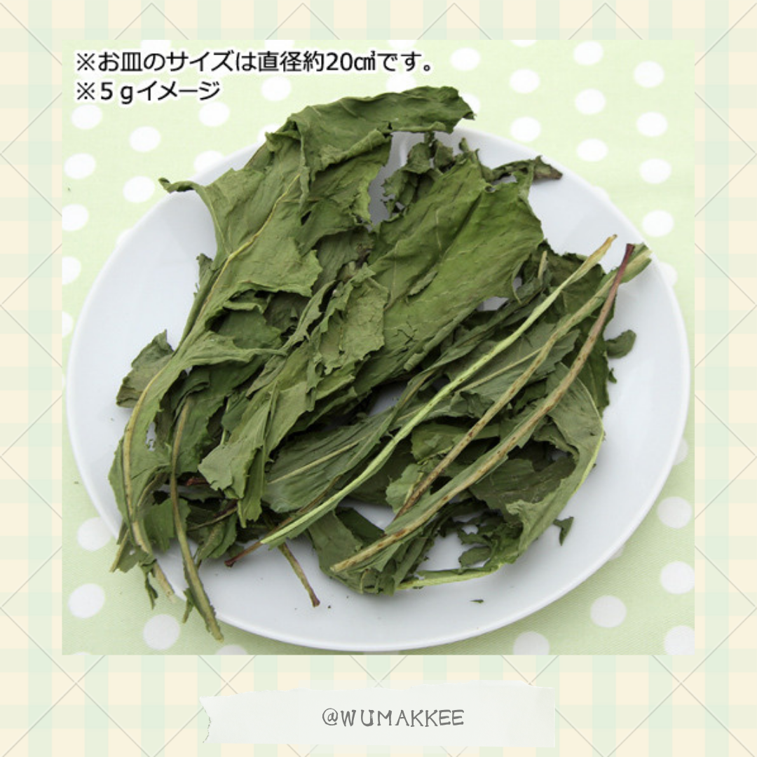 日本產 Leaf Corp Usayama 長野縣產 高原蒲公英 5g / 20g