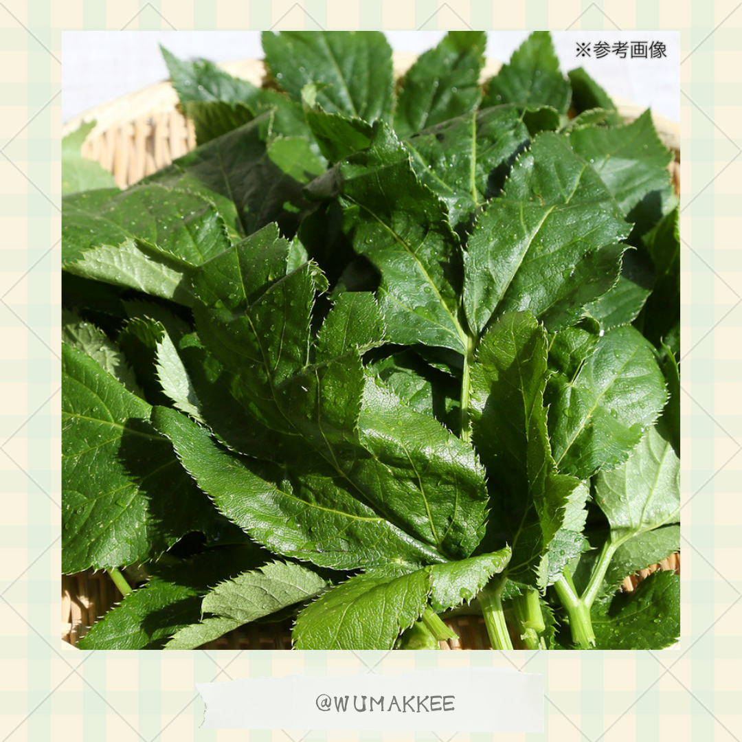 國產USAYAMA 明日葉 10g