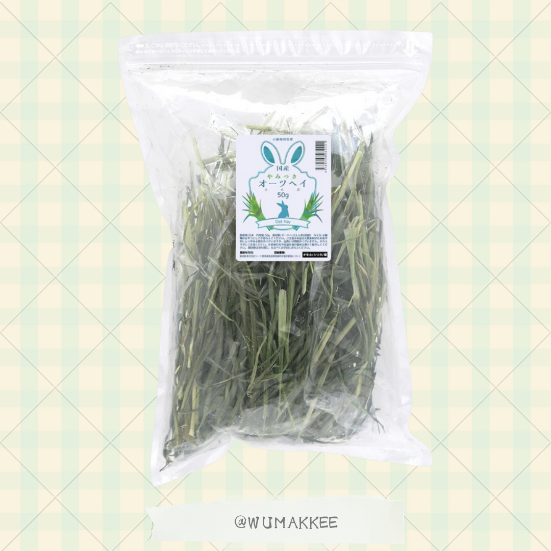 令和6年 日本產 Leaf Corp Oat Hay 高纖上癮燕麥草 50g